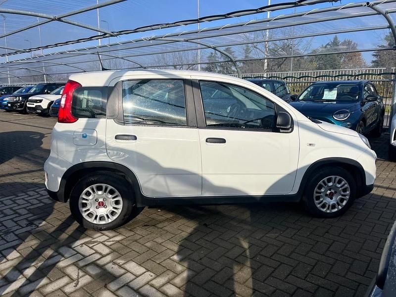 Usata Fiat Panda S 69 CV (50 kW) 2023 Bianco Utilitaria
