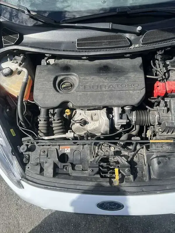 Usata Ford Fiesta 75 CV (55 kW) 2016 Utilitaria