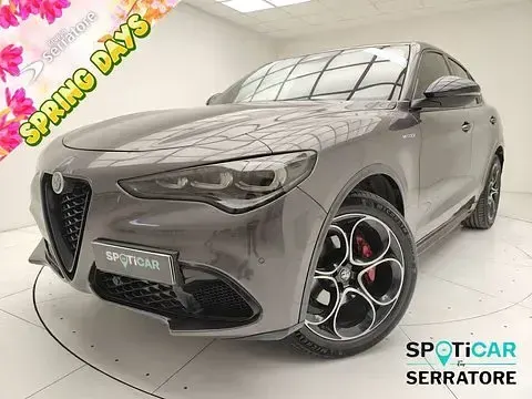 Usata Alfa Romeo Stelvio Veloce 210 CV (154 kW) 2025 SUV
