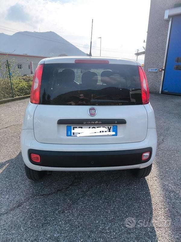 Usata Fiat Panda 4x4 2019 Bianco Utilitaria