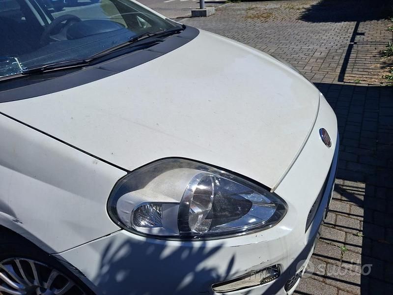 Usata Fiat Punto 69 CV (50 kW) 2013 Utilitaria