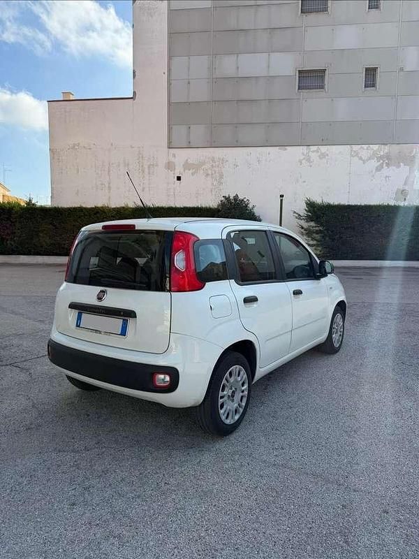 Usata Fiat Panda Easy 69 CV (50 kW) 2020 Bianco Berlina