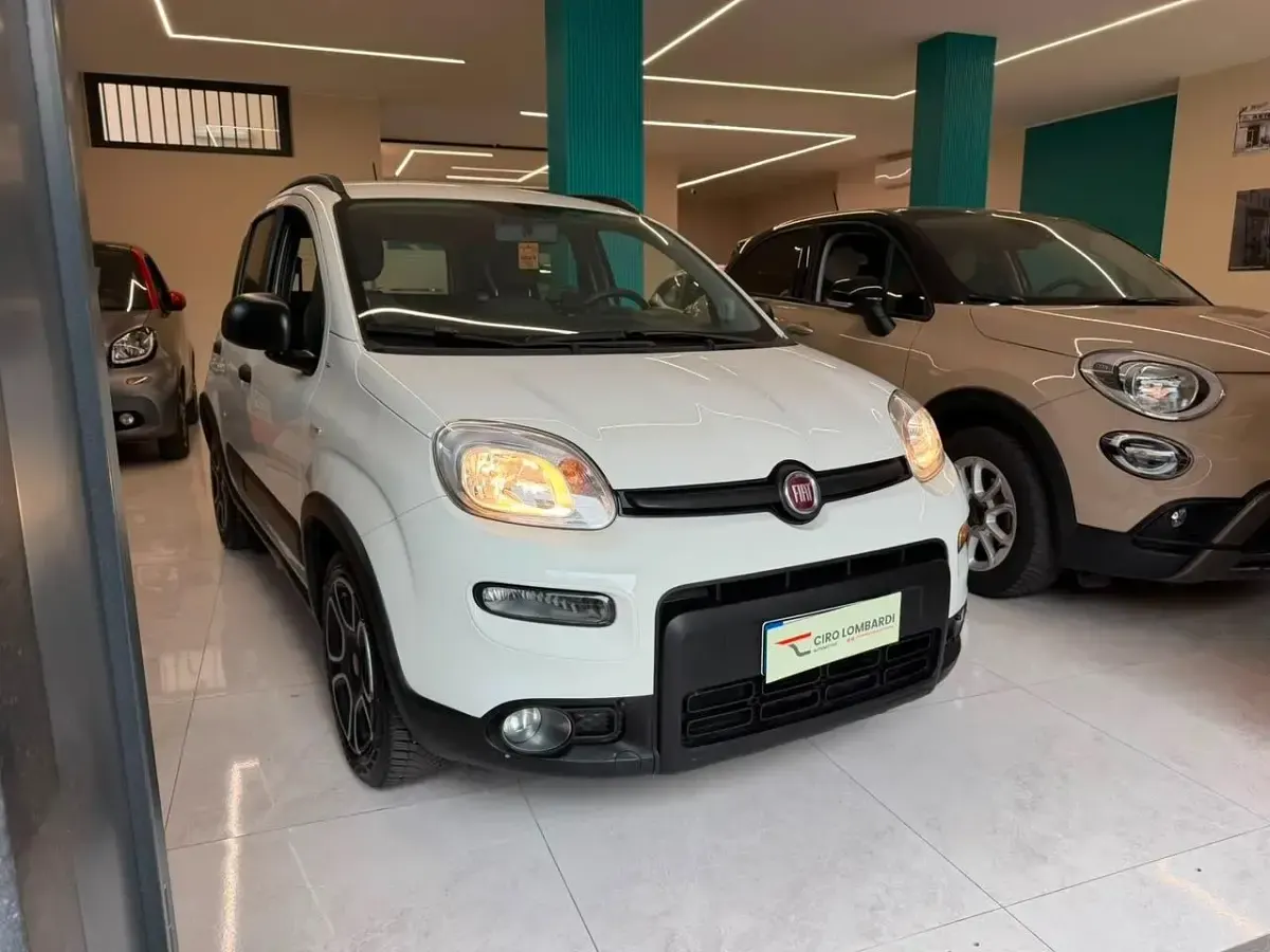 Usata Fiat Panda Cross Cross 69 CV (50 kW) 2021 Bianco Utilitaria