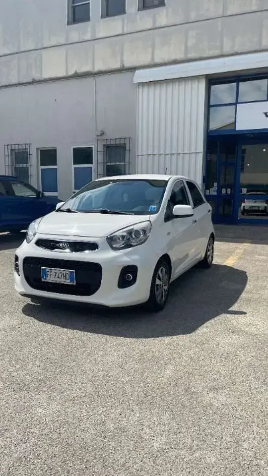 Usata Kia Picanto 69 CV (50 kW) 2016 Bianco Utilitaria