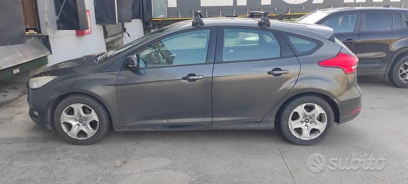 Usata Ford Focus 95 CV (69 kW) 2015 Grigio Berlina