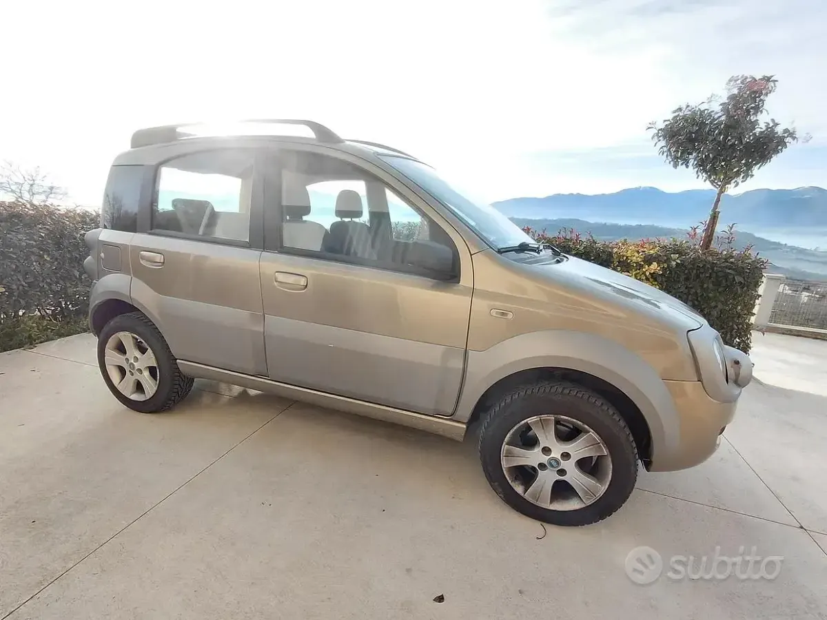 Usata Fiat Panda 4x4 Cross 2007 Utilitaria
