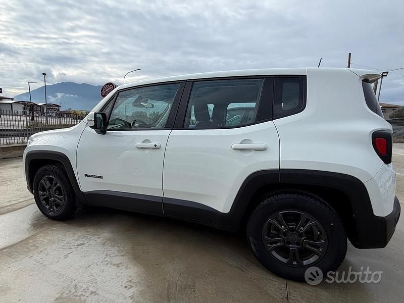 Usata Jeep Renegade Longitude 120 CV (88 kW) 2020 Bianco SUV
