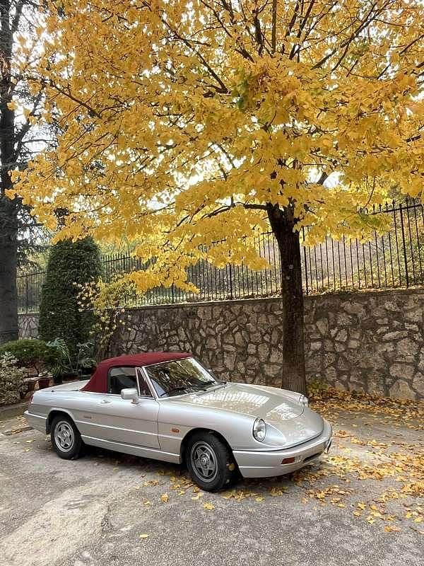 Usata Alfa Romeo Spider 106 CV (77 kW) 1990 Cabrio