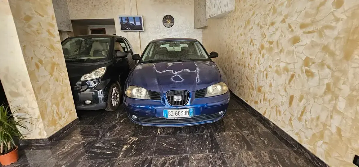 Usata Seat Ibiza Stella 64 CV (47 kW) 2002 Utilitaria