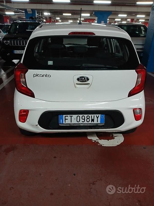 Usata Kia Picanto 67 CV (49 kW) 2019 Bianco Utilitaria