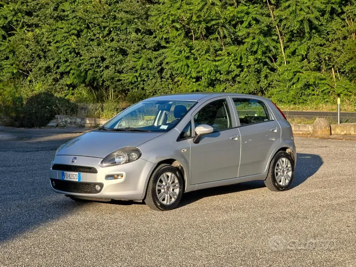 Usata Fiat Punto Lounge 77 CV (56 kW) 2016 Grigio Utilitaria