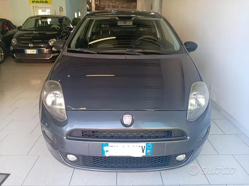 Usata Fiat Punto Lounge 69 CV (50 kW) 2014 Grigio Utilitaria