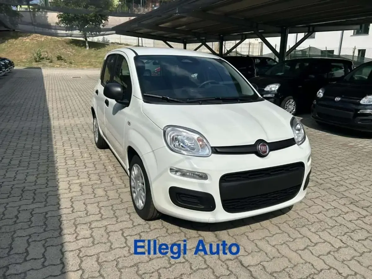 Nuova Fiat Panda Icon 69 CV (50 kW) 2026 Bianco Utilitaria