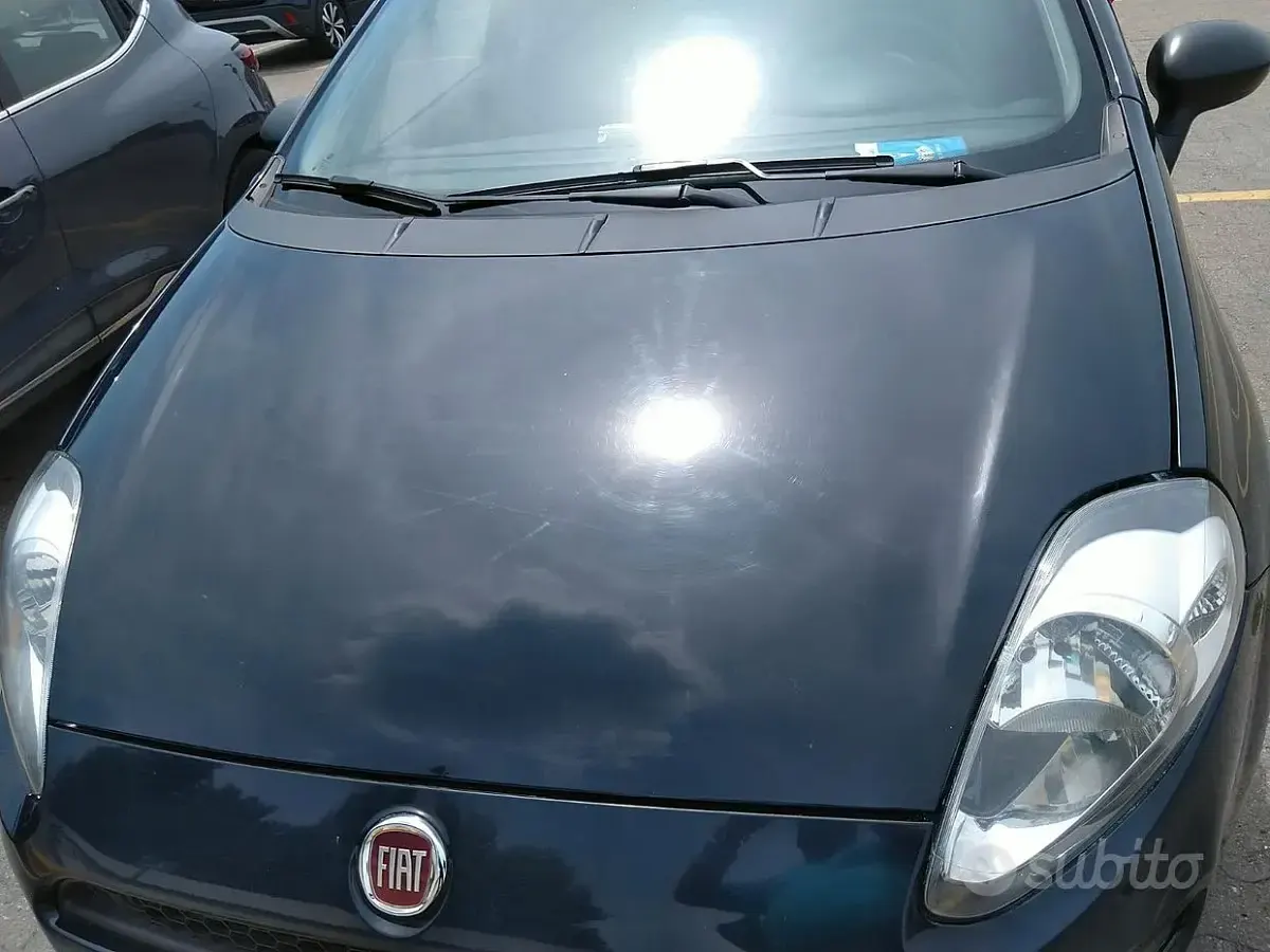 Usata Fiat Punto 95 CV (69 kW) 2018 Blu Utilitaria