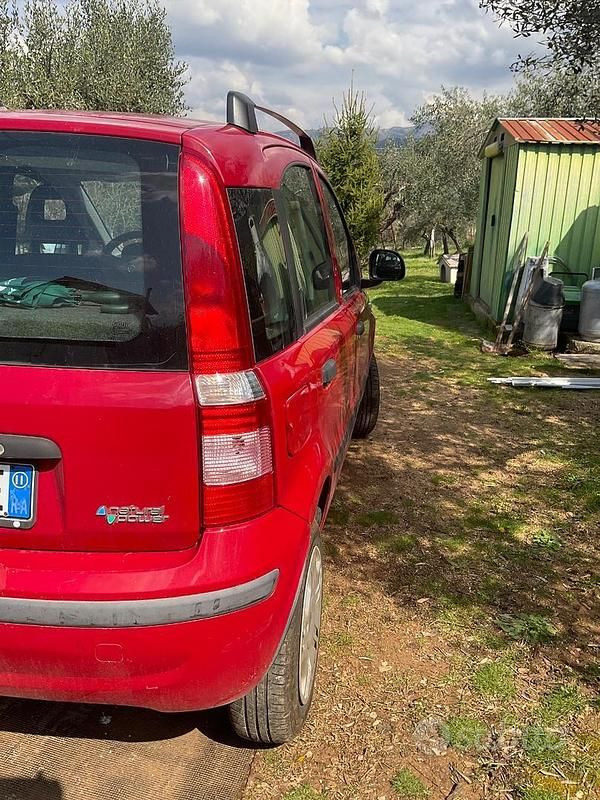 Usata Fiat Panda 77 CV (56 kW) 2008 Rosso Utilitaria