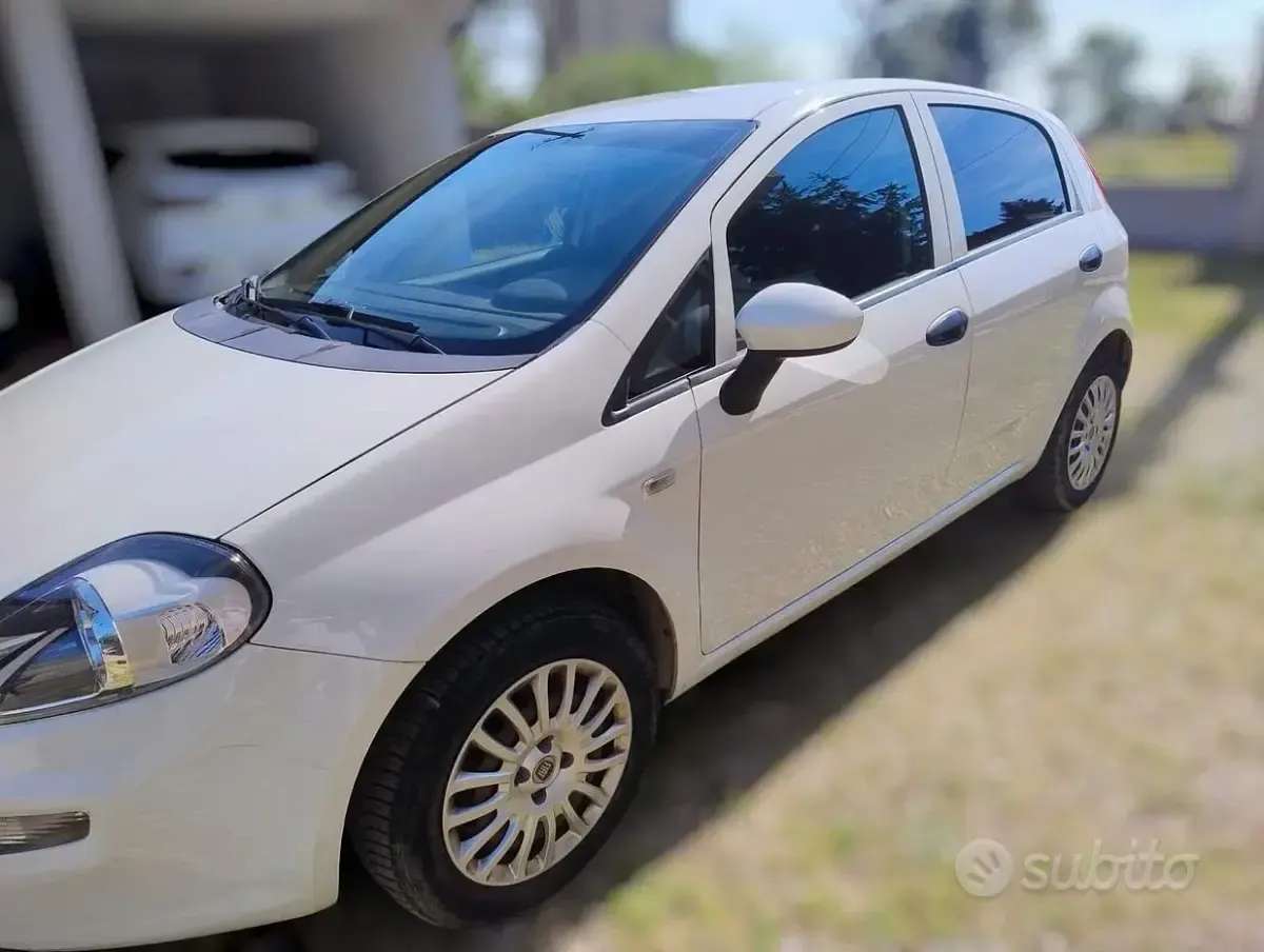 Usata Fiat Punto 69 CV (50 kW) 2015 Bianco Utilitaria