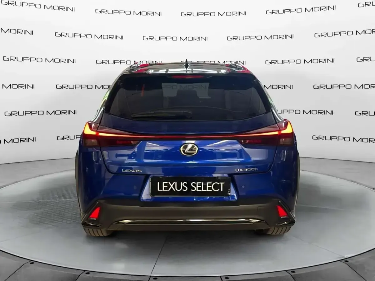 Usata Lexus UX 199 CV (146 kW) 2024 Other SUV