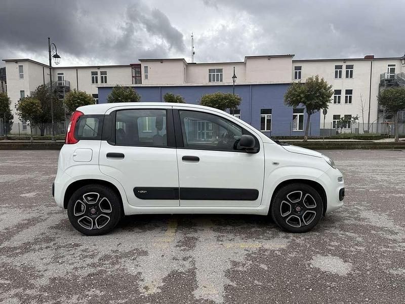 Usata Fiat Panda Easy 95 CV (69 kW) 2017 Utilitaria