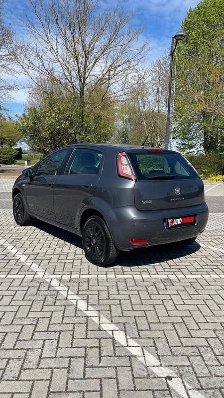 Usata Fiat Punto Pop 77 CV (56 kW) 2012 Grigio Utilitaria