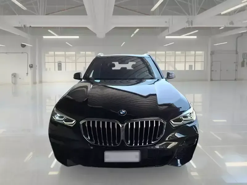 Usata BMW X5 M Sport 231 CV (169 kW) 2023 SUV
