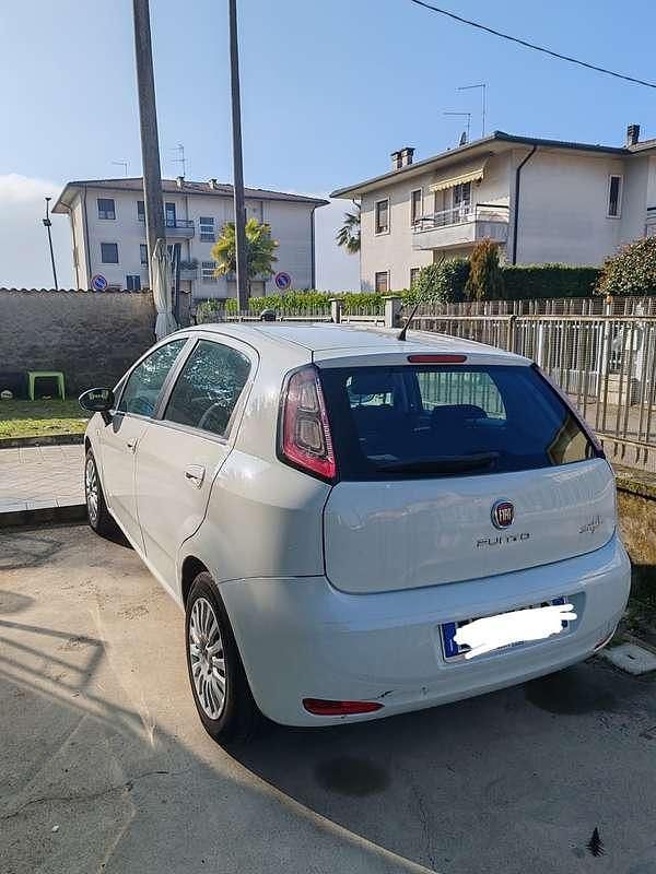Usata Fiat Punto Easy 75 CV (55 kW) 2014 Utilitaria