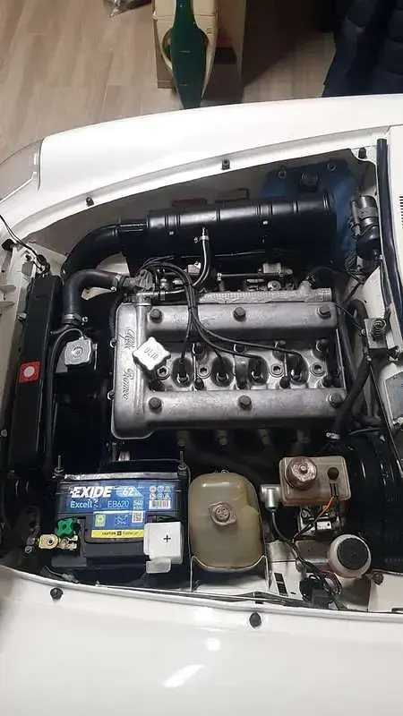 Usata Alfa Romeo Spider Veloce 128 CV (94 kW) 1980 Cabrio