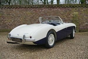 Usata Austin Healey 100 90 CV (66 kW) 1955 Bianco Cabrio