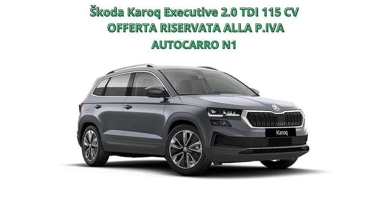 Nuova Skoda Karoq Executive 116 CV (85 kW) 2025 Grigio SUV