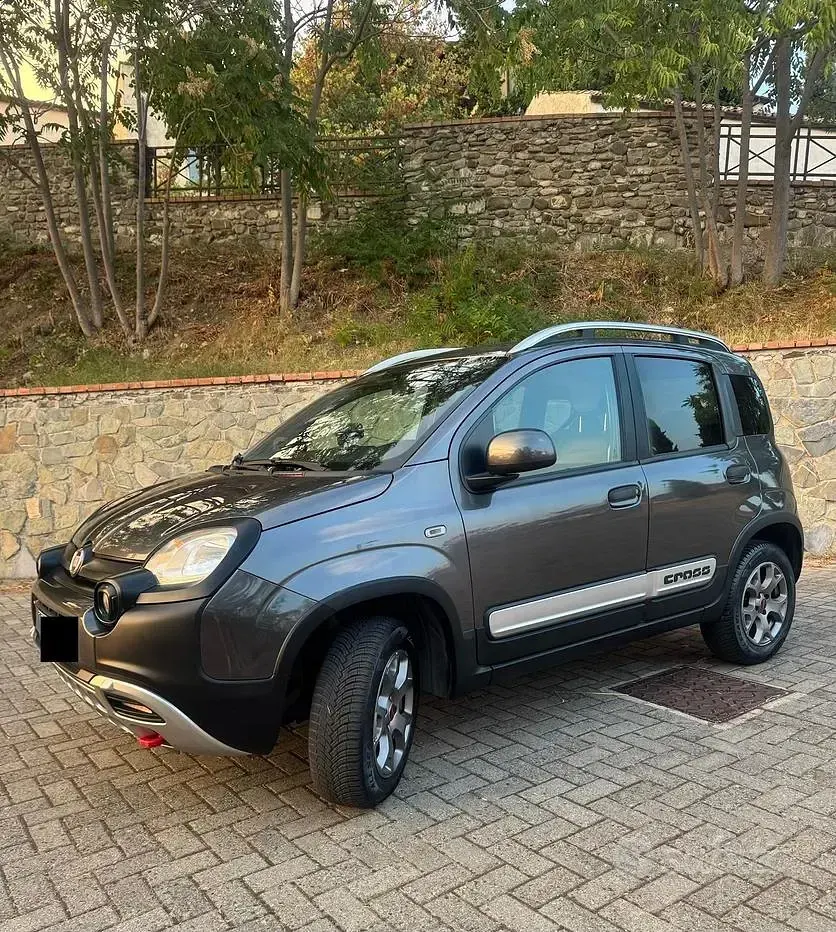 Usata Fiat Panda Cross Cross 95 CV (69 kW) 2018 Grigio Utilitaria