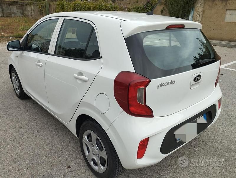 Usata Kia Picanto 68 CV (50 kW) 2018 Bianco Utilitaria