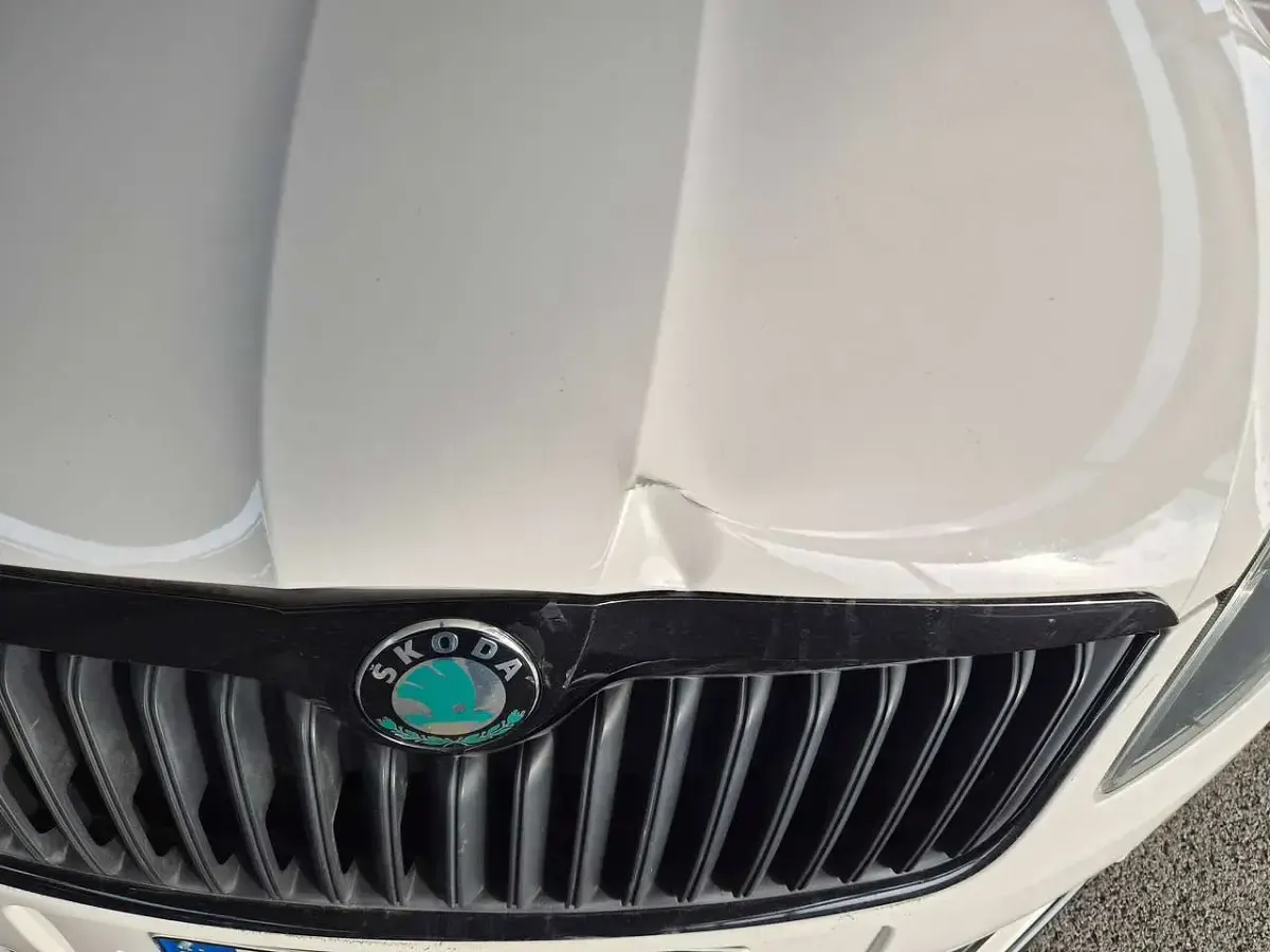 Usata Skoda Fabia Monte Carlo 105 CV (77 kW) 2011 Bianco Berlina