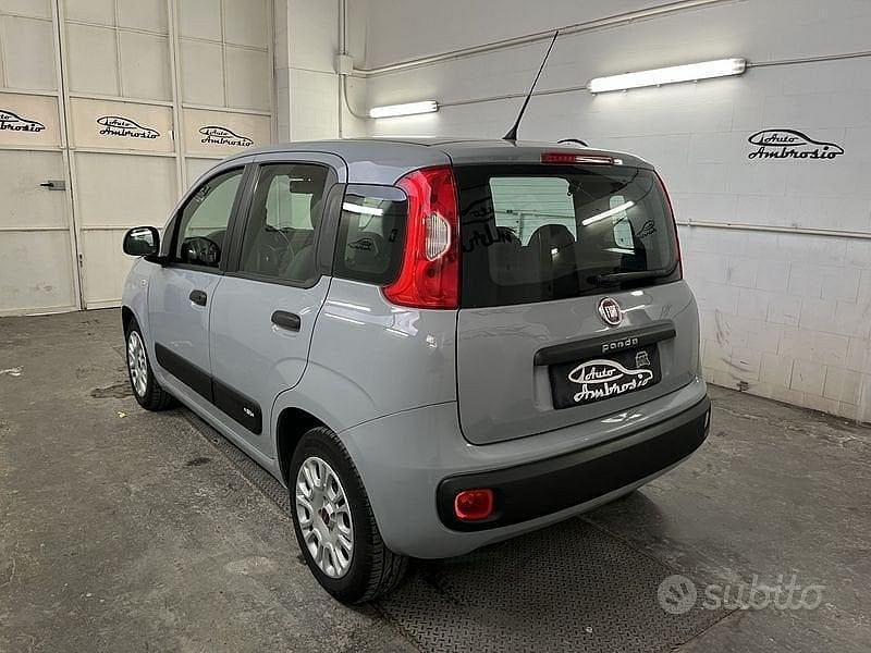 Usata Fiat Panda 69 CV (50 kW) 2018 Grigio Utilitaria