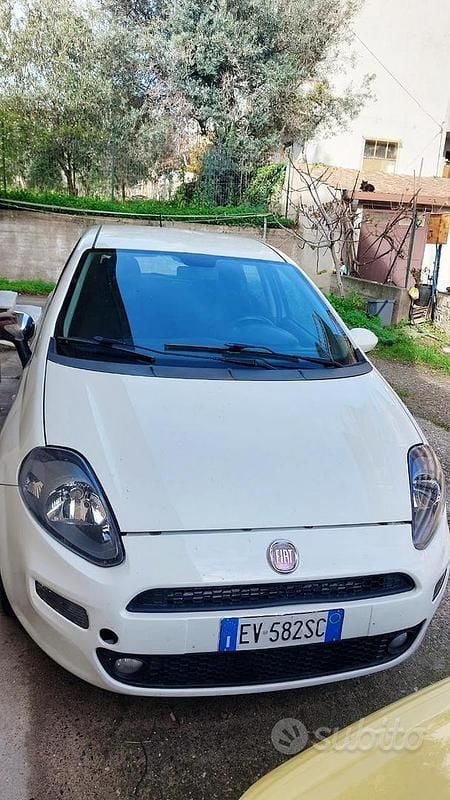 Usata Fiat Punto 90 CV (66 kW) 2014 Bianco Berlina