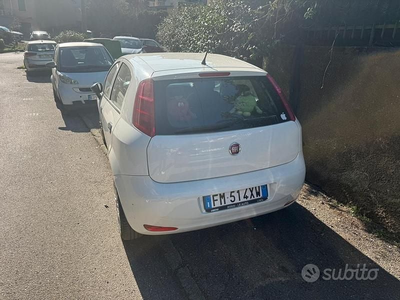 Usata Fiat Punto Lounge 69 CV (50 kW) 2018 Bianco Utilitaria