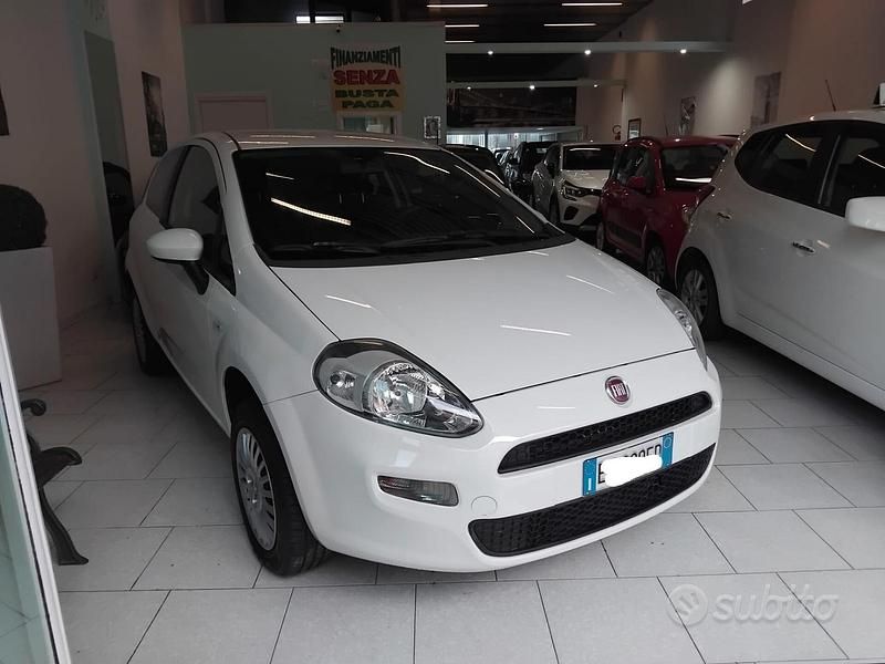 Usata Fiat Punto Lounge 69 CV (50 kW) 2013 Bianco Utilitaria