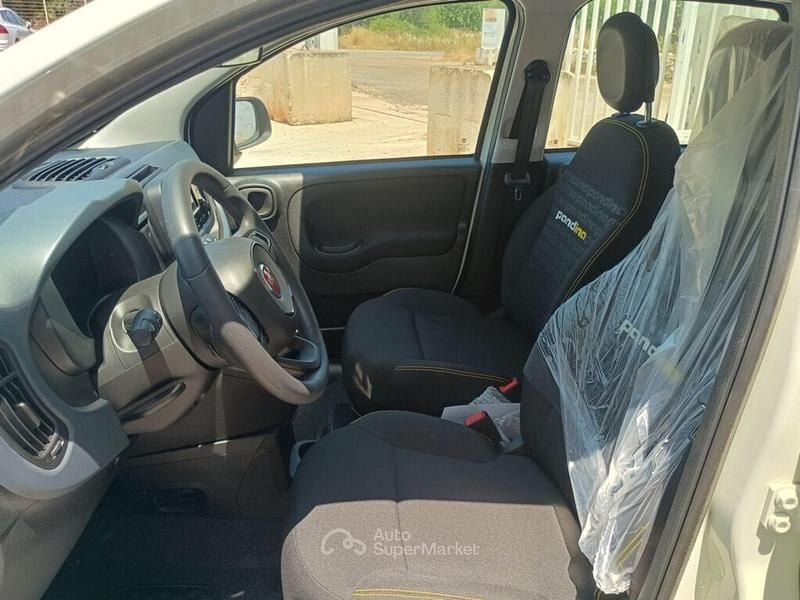 Usata Fiat Panda 71 CV (52 kW) 2024 Bianco Utilitaria