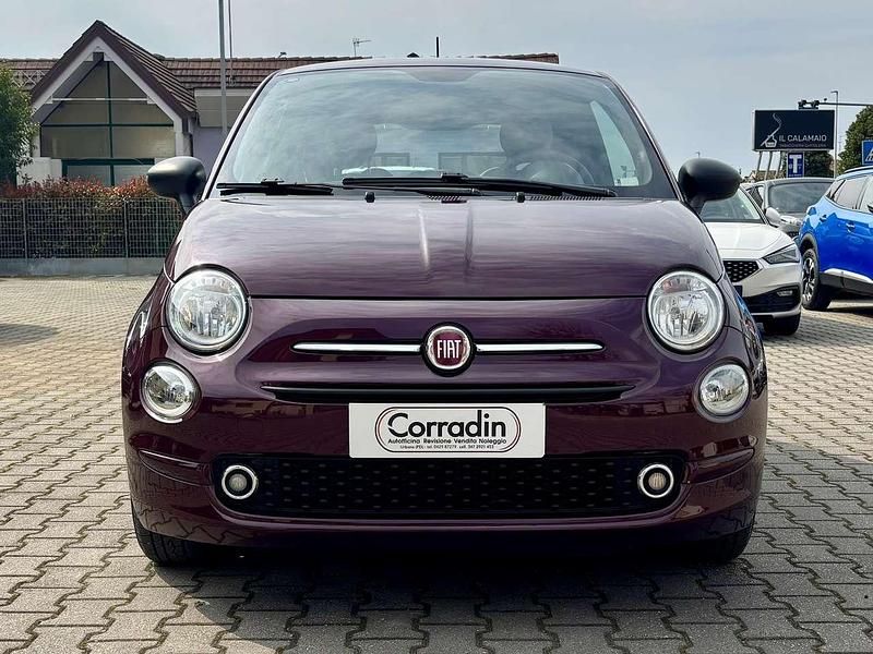 Usata Fiat 500 Star 69 CV (50 kW) 2020 Viola metallizzato Utilitaria