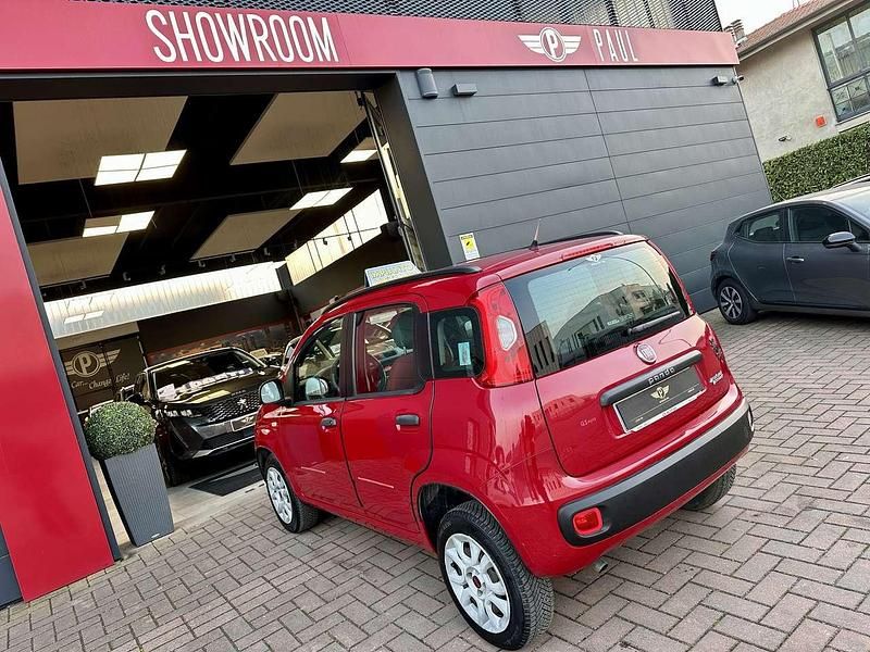 Usata Fiat Panda Easy 80 CV (58 kW) 2012 Rosso Utilitaria
