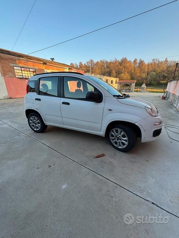 Usata Fiat Panda Easy 80 CV (58 kW) 2014 Utilitaria