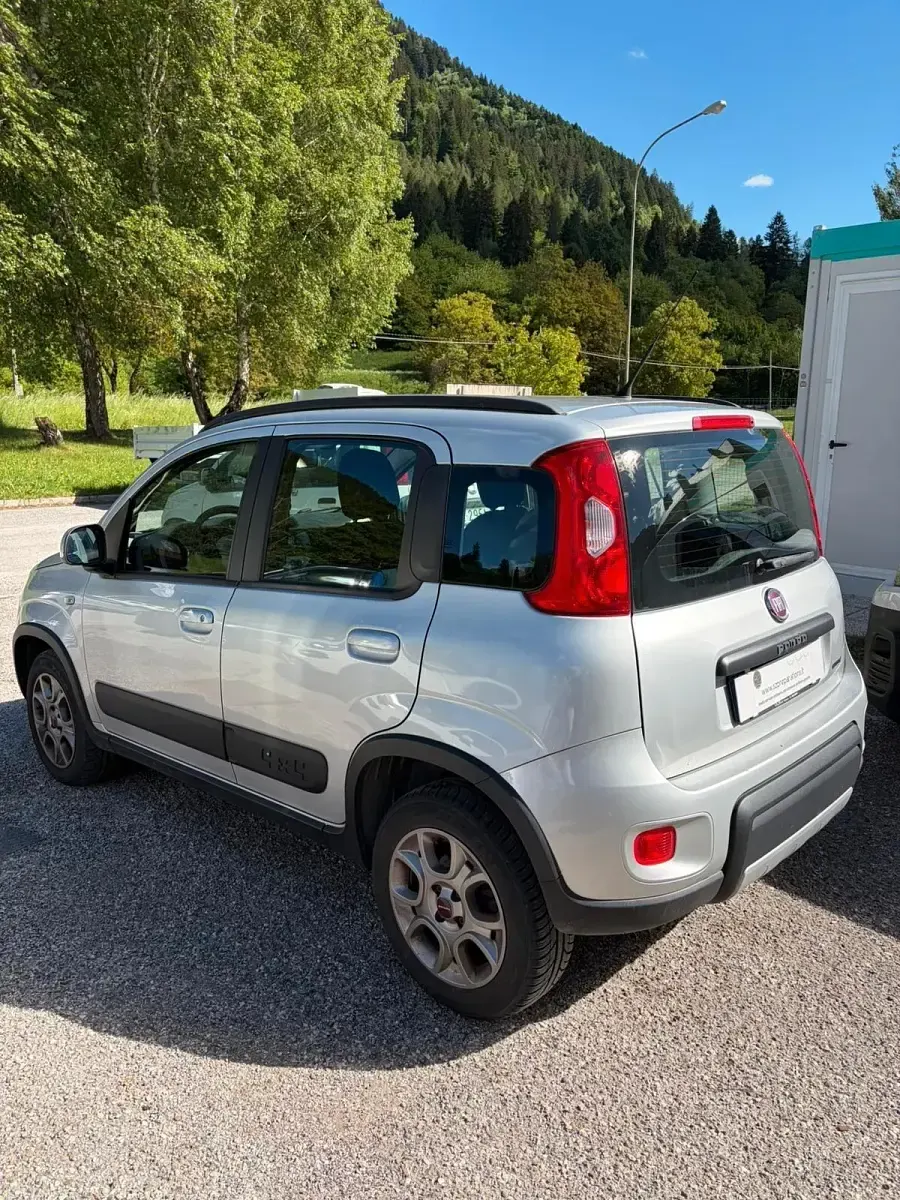 Usata Fiat Panda 4x4 S 95 CV (69 kW) 2016 Grigio Utilitaria