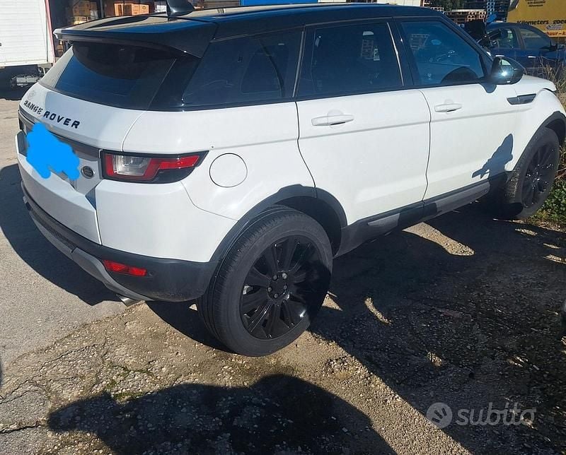 Usata Land Rover Range Rover evoque 150 CV (110 kW) 2017 Bianco SUV