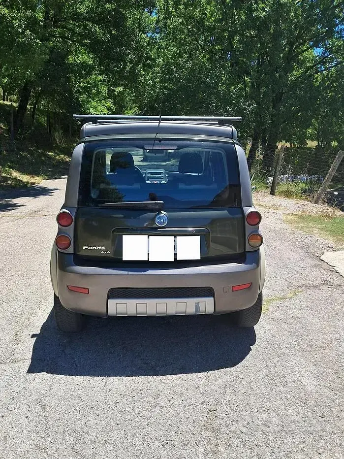 Usata Fiat Panda 4x4 Cross 2006 Verde Utilitaria