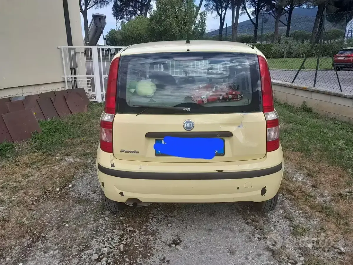 Usata Fiat Panda 54 CV (39 kW) 2006 Giallo Utilitaria