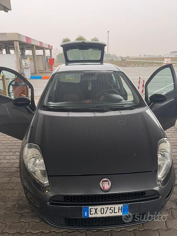 Usata Fiat Punto 75 CV (55 kW) 2014 Utilitaria
