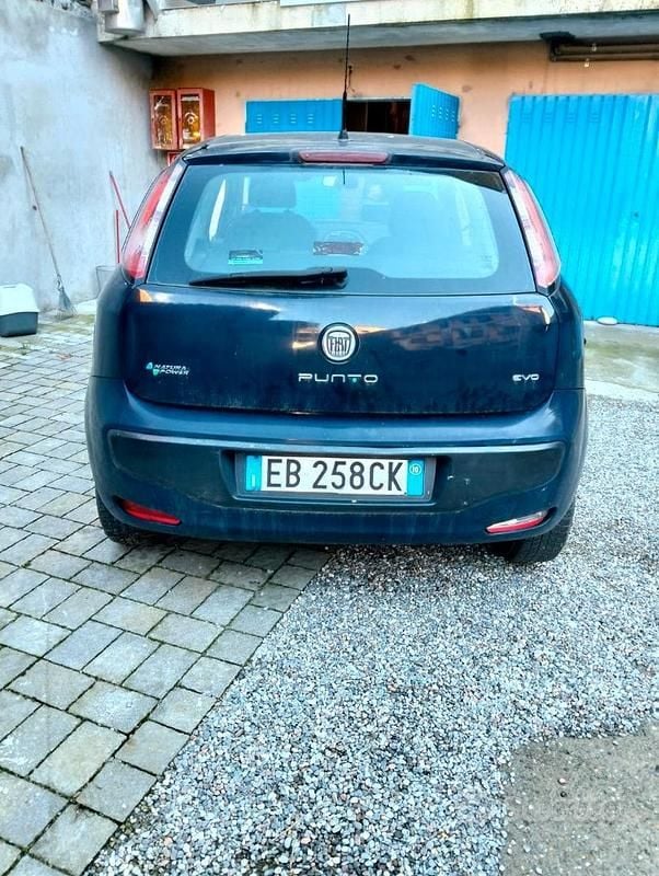 Usata Fiat Punto Evo Dynamic 69 CV (50 kW) 2009 Nero Utilitaria