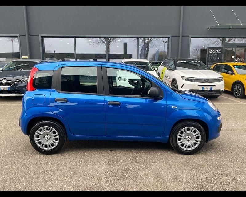 Nuova Fiat Panda Icon 65 CV (47 kW) 2026 Giallo positano / tetto nero Utilitaria