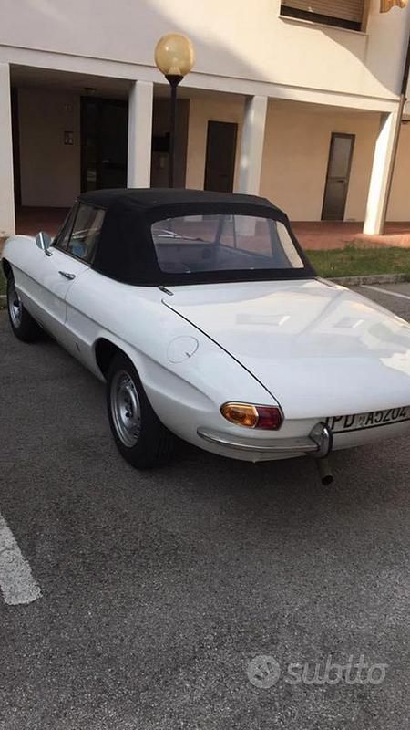 Usata Alfa Romeo Spider 1960 Bianco Cabrio