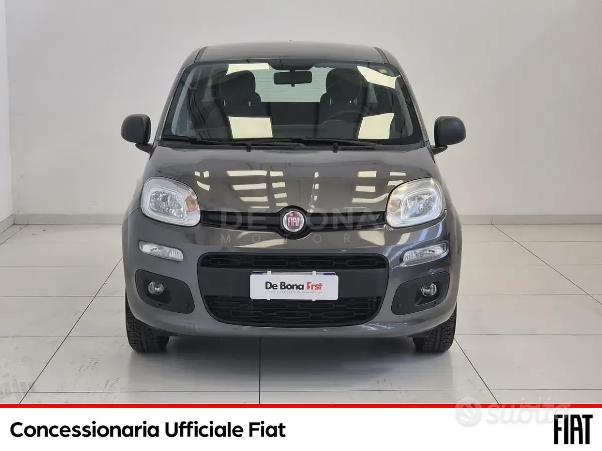 Usata Fiat Panda Easy 69 CV (50 kW) 2019 Grigio Utilitaria
