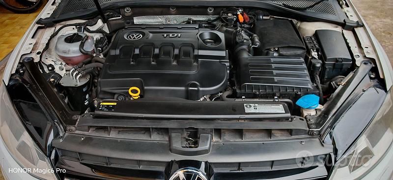 Usata VW Golf VII 2014 Bianco Utilitaria