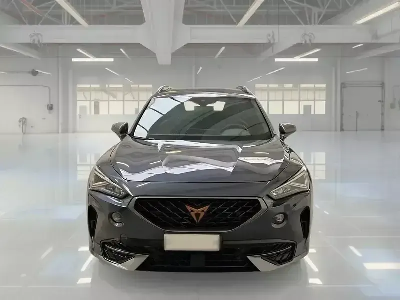 Usata Cupra Formentor 150 CV (110 kW) 2022 Grigio SUV